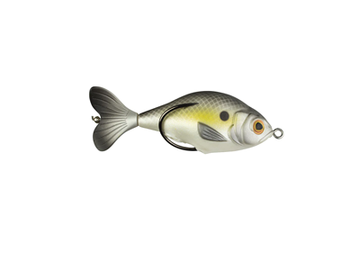 Lunkerhunt Prop Fish