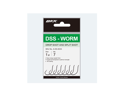 BKK DSS-Worm