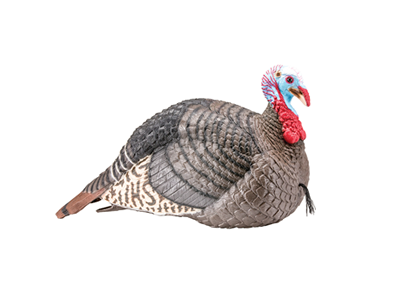 Hunters Specialties HS-STR-100003 Strut-Lite Turkey Decoys