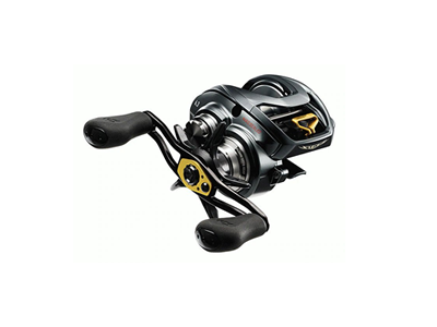 Daiwa Steez A TWS Casting Reel