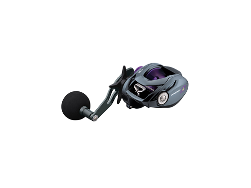 Daiwa ProRex TW Baitcast Reel